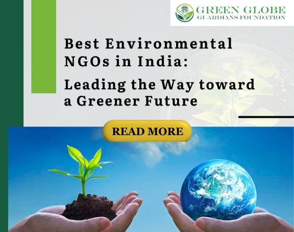 Best Environmental NGOs in India